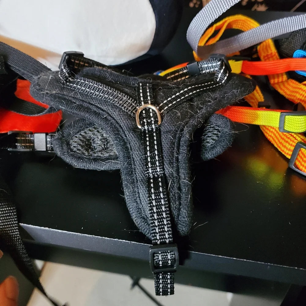 Small Pet Harness Bundle